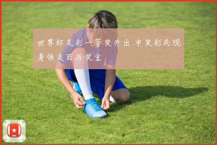 世界杯足彩一等奖开出 中奖彩民现身领走百万奖金