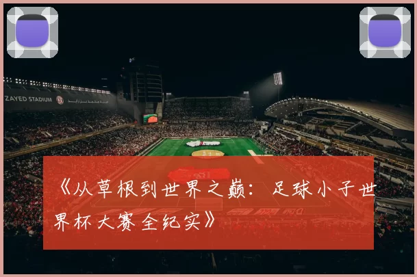 《从草根到世界之巅：足球小子世界杯大赛全纪实》