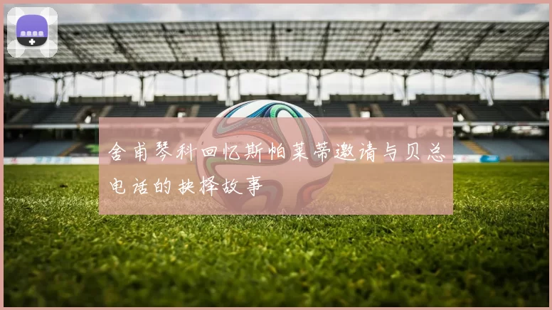 舍甫琴科回忆斯帕莱蒂邀请与贝总电话的抉择故事