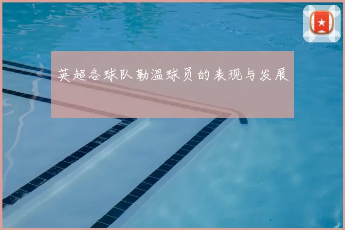 英超各球队勒温球员的表现与发展