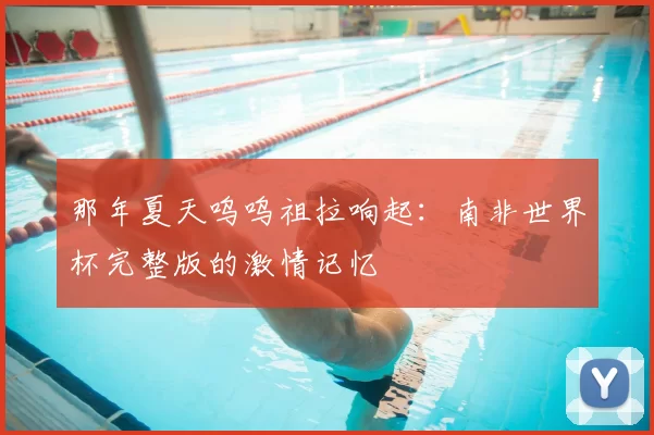 那年夏天呜呜祖拉响起：南非世界杯完整版的激情记忆