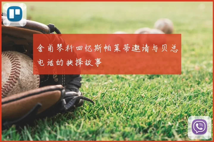舍甫琴科回忆斯帕莱蒂邀请与贝总电话的抉择故事