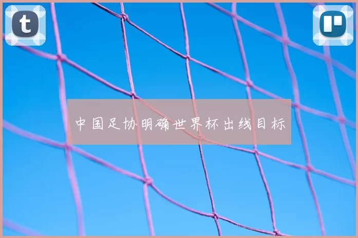 中国足协明确世界杯出线目标