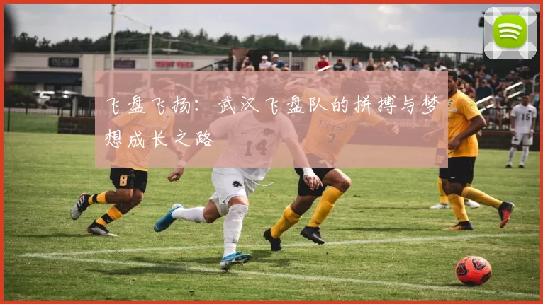 飞盘飞扬：武汉飞盘队的拼搏与梦想成长之路