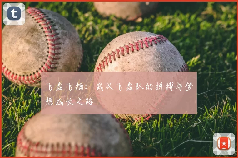 飞盘飞扬:武汉飞盘队的拼搏与梦想成长之路