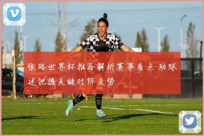 张路世界杯推荐解析赛事看点 助球迷把握关键对阵走势