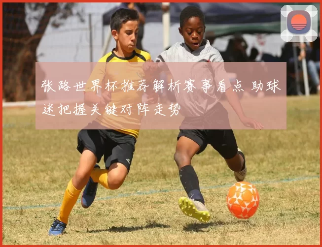 张路世界杯推荐解析赛事看点 助球迷把握关键对阵走势