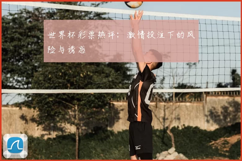 世界杯彩票热评：激情投注下的风险与诱惑