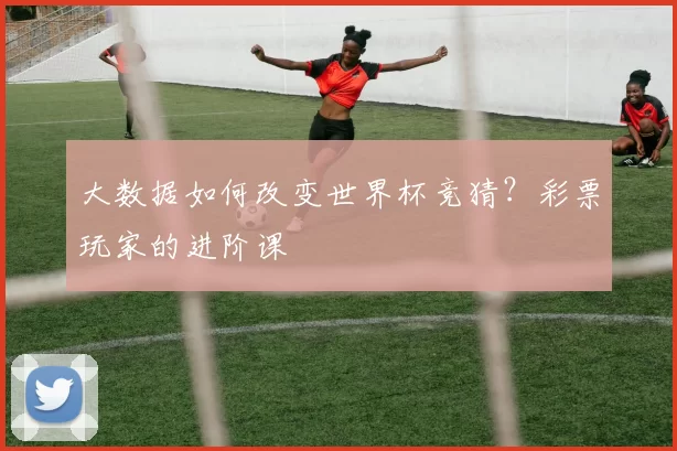 大数据如何改变世界杯竞猜?彩票玩家的进阶课